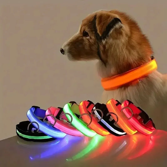 LED Light-Up Dog Collar for Safe Night Walks-Set of two