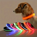LED Light-Up Dog Collar for Safe Night Walks-Set of two